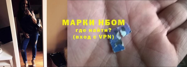 прущие грибы Краснослободск