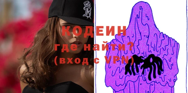 прущие грибы Краснослободск