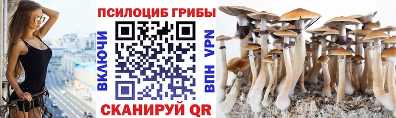 Псилоцибиновые грибы Psilocybine cubensis  Купить закладки  Туринск 