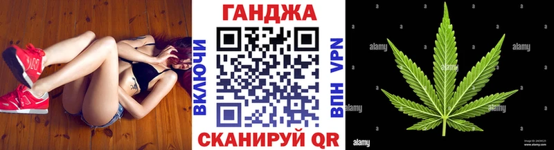 Купить закладки  Туринск  Конопля план 